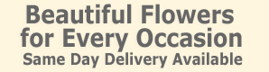 Beautiful Flowers for Every Occasion