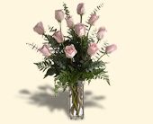 Click Here for More Information on this Gift.