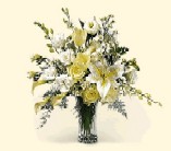 Click Here for More Information on this Gift.