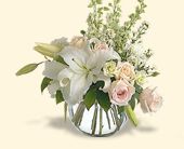 Click Here for More Information on this Gift.