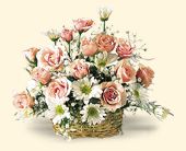 Click Here for More Information on this Gift.