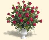 Click Here for More Information on this Gift.