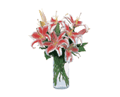 Lovely Lilies, picture