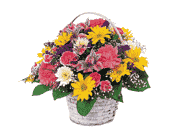 Simple Pleasures, picture