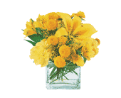 Sunshine Thoughts, picture