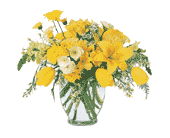 Sunshine Express, picture