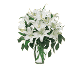 Perfect White Lilies, picture