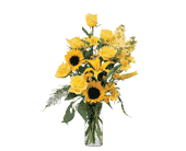 Blazing Sunshine, picture