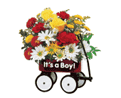 Teleflora's Baby's First Wagon, picture