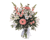 Celebrating Baby Girl, picture