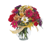 Joyful and Thrilling, picture