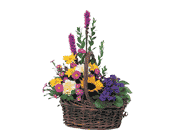 Basket of Glory, picture