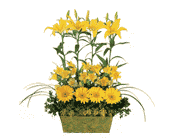 Yellow Garden Rows, picture