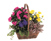 Blooming Garden Basket, picture