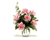 Teleflora's Pink Notion Vase, picture