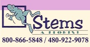 Stems... A Florist - Your Teleflora Florist in Scottsdale, AZ
