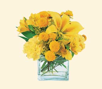 Sunshine Thoughts, picture