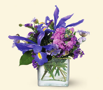 Stems... A Florist, Scottsdale, Arizona - Blues for You, picture