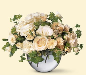 Simply White, picture