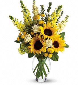 Here Comes The Sun by Teleflora in Scottsdale AZ, Stems