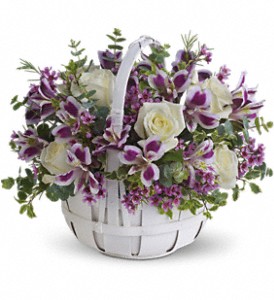 Sweet Moments in Scottsdale AZ, Stems