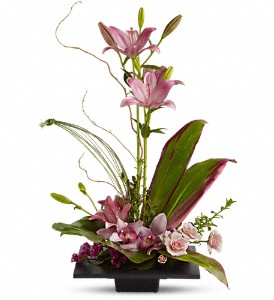 Imagination Blooms with Cymbidium Orchids in Scottsdale AZ, Stems