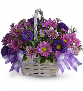 Daisy Daydreams in Scottsdale AZ, Stems