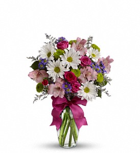 Pretty Please in Scottsdale AZ, Stems