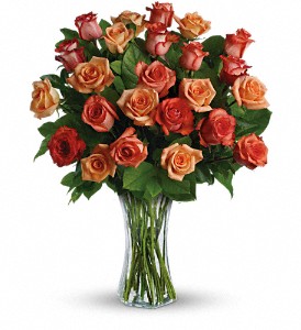 Sunrise Splendor in Scottsdale AZ, Stems