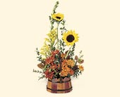 Click Here for More Information on this Gift.