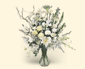 Click Here for More Information on this Gift.