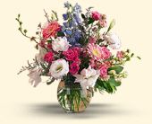 Click Here for More Information on this Gift.