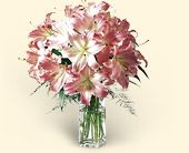 Click Here for More Information on this Gift.