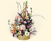 Click Here for More Information on this Gift.