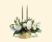 Golden Lights, picture