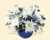 Winter's Sky, picture