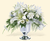 Holiday on Ice, picture