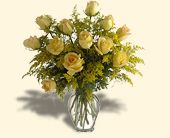 Click Here for More Information on this Gift.