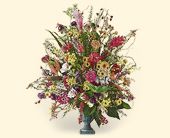 Click Here for More Information on this Gift.