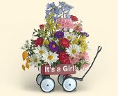 Click Here for More Information on this Gift.