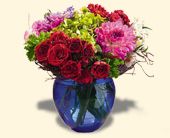 Click Here for More Information on this Gift.