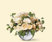 Simply White, picture