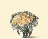 A Dozen White Roses, picture
