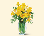 Charming Daffodils, picture