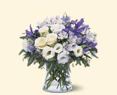 Blissful Bouquet, picture