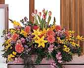 Stems... A Florist, Scottsdale, Arizona - Blooming Glory Casket Spray, picture