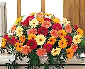 Stems... A Florist, Scottsdale, Arizona - Uplifting Thoughts Casket Spray, picture