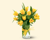 Teleflora's Sunny Yellow Tulips, picture