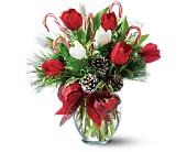 Peppermint Tulips in Scottsdale AZ, Stems Fresh Flower Market