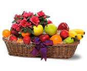 Plant and Fruit Basket in Scottsdale AZ, Stems Fresh Flower Market